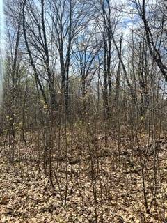 XXX Opal Ln, Cushing, MN 56443