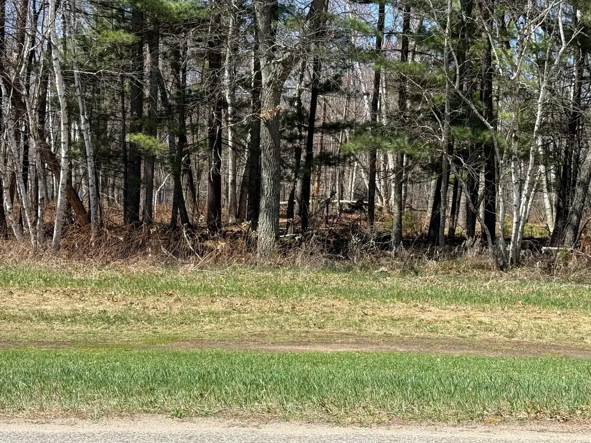 TBD County Road 4, Pequot Lakes, MN 56472