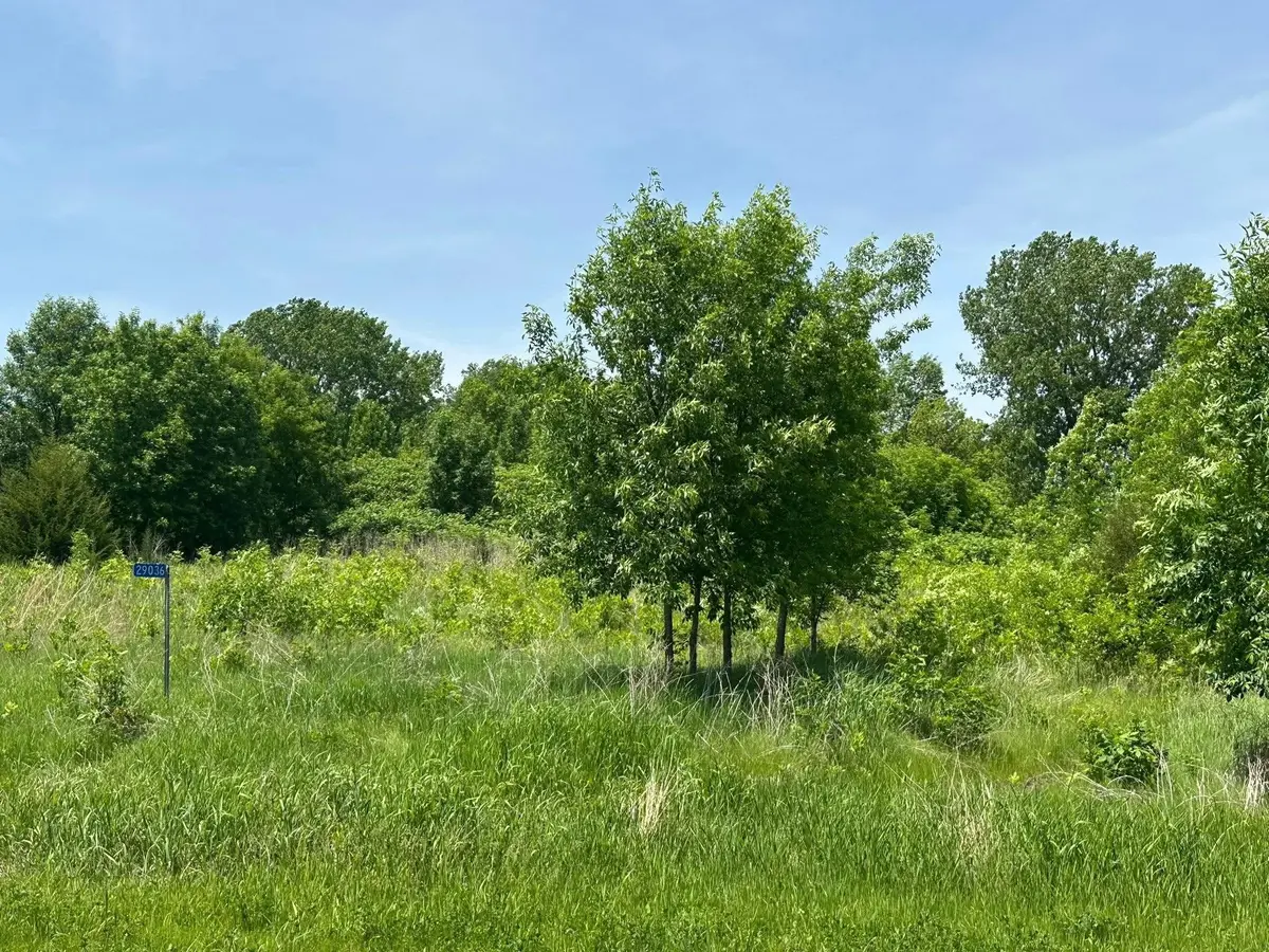 29036 Biehn DR, Madison Lake, MN 56063