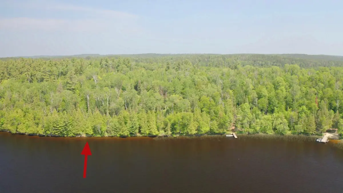 5773 Lake Vermilion N, Tower, MN 55790
