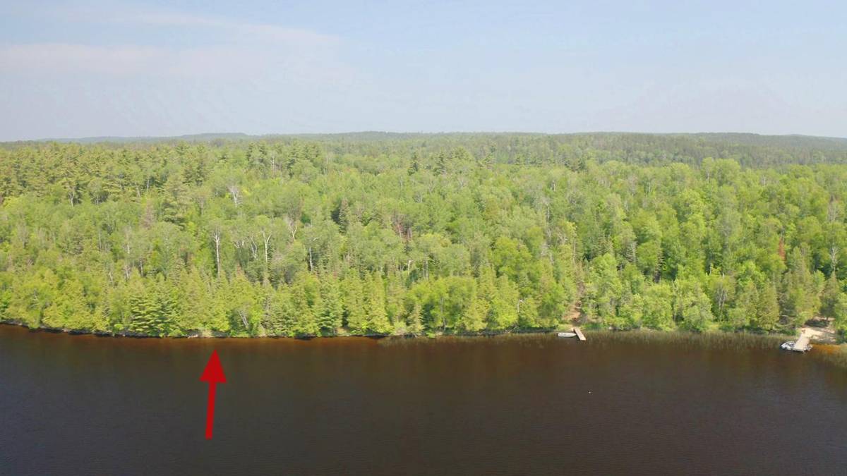 5773 Lake Vermilion N, Tower, MN 55790