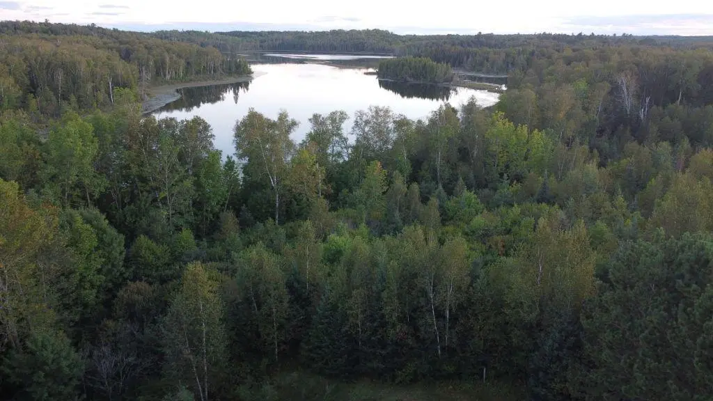 Parcel B E Gunn Lake TRL, Marcell, MN 56657