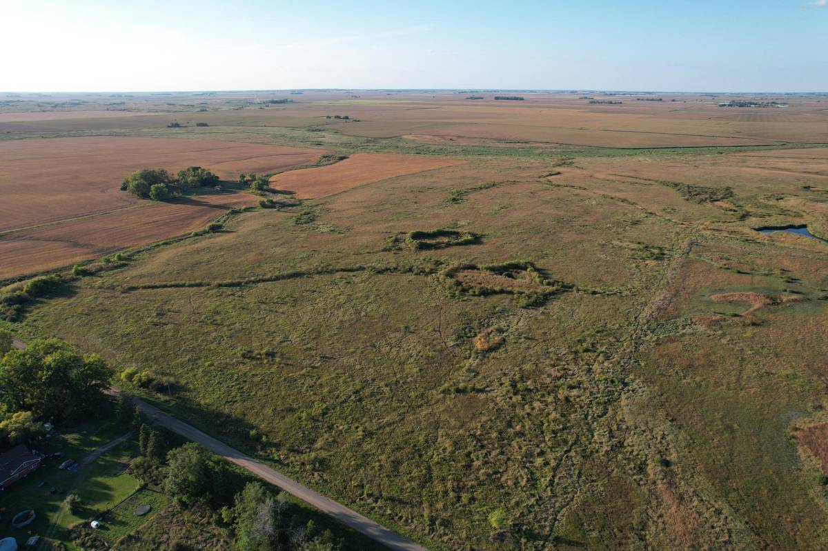 TBD 340th ST, Ogema, MN 56569