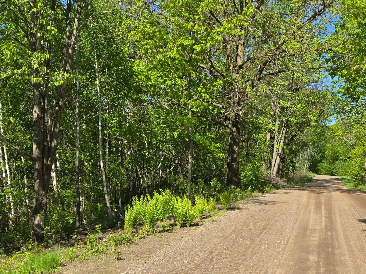 TBD 360th ST, Onamia, MN 56359