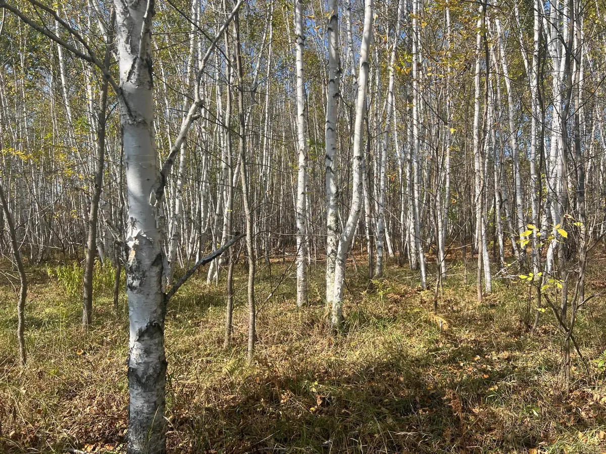 00000 County HWY 61, Hinckley, MN 55037