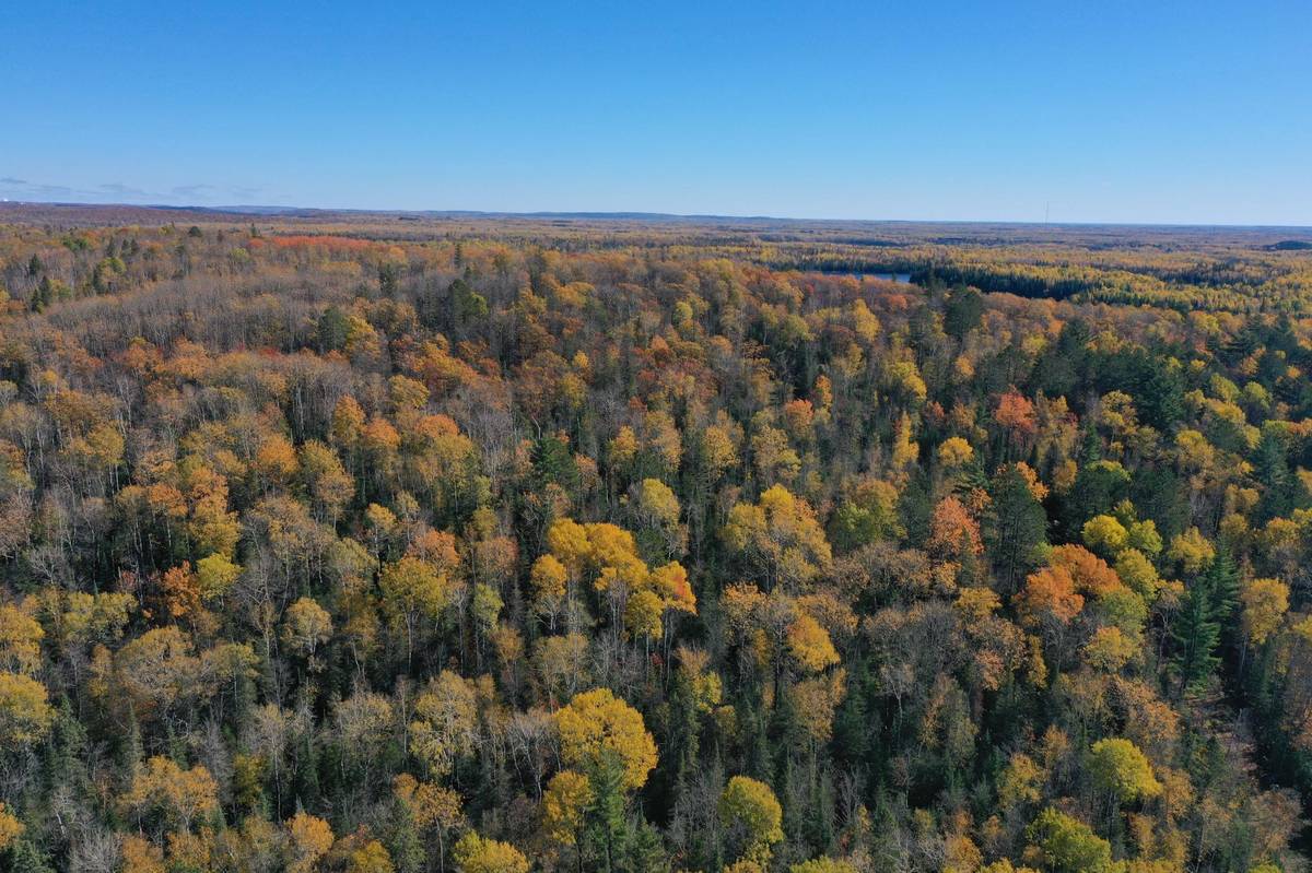 TBD French Rd., Chisholm, MN 55719