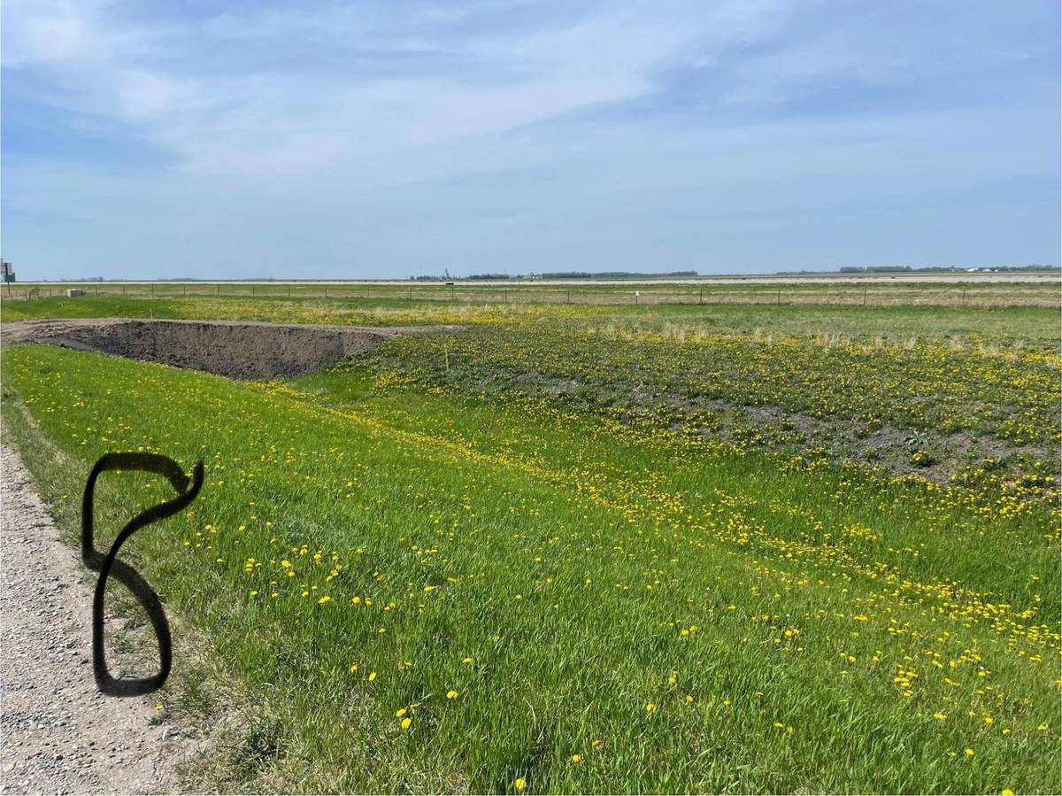 Lot 8 County Line Addition, Grandin, ND 58038