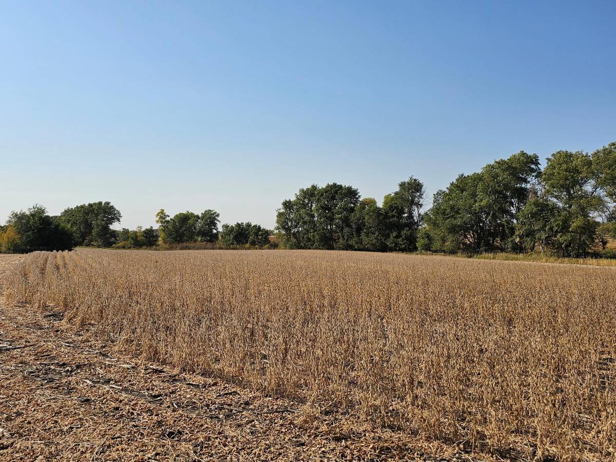 - Mamre Twp, Pennock, MN 56279