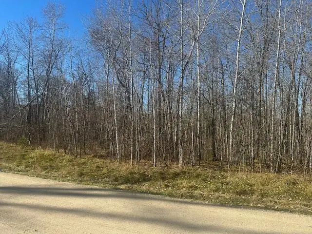 TBD Crest CT NE, Bemidji, MN 56601