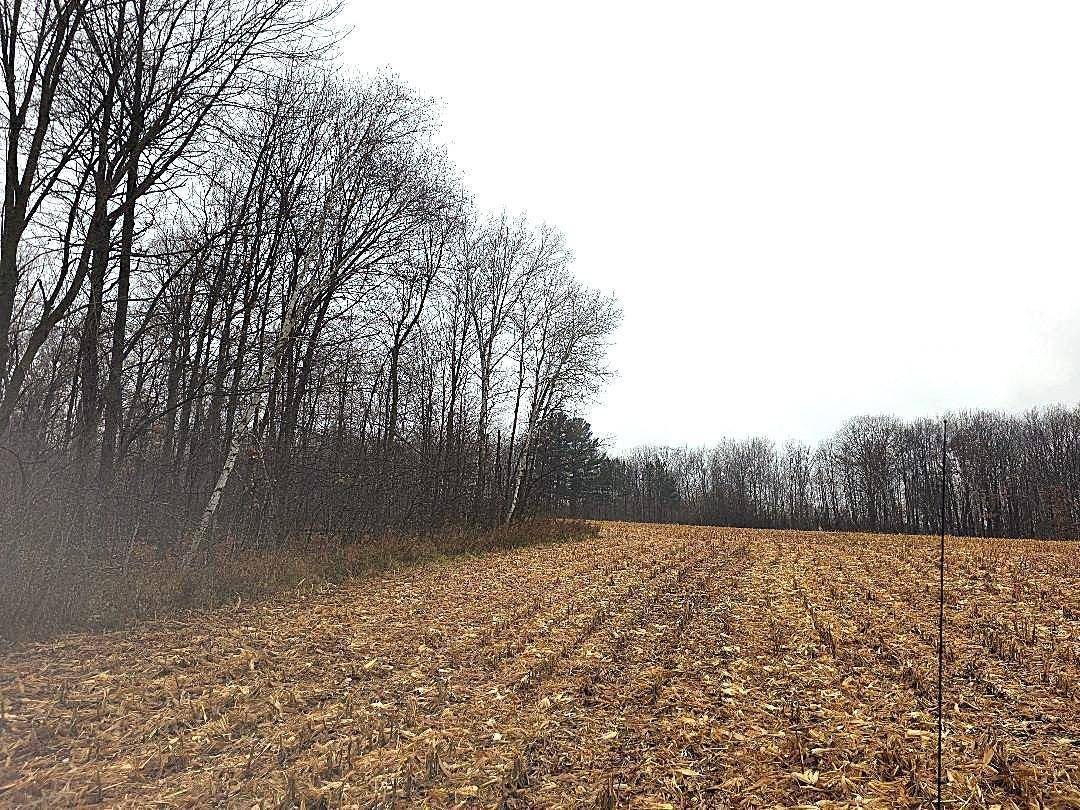 1141 12th Ave., Barron, WI 54812