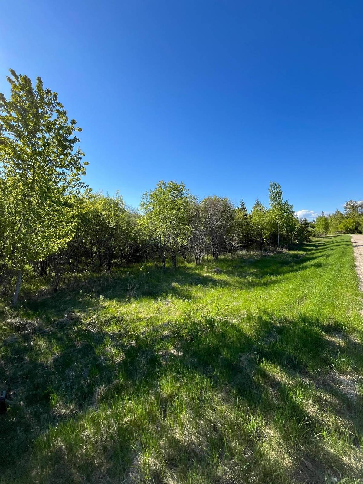 Lot 4 - TBD 330th ST, Warroad, MN 56763