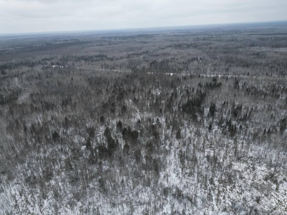 TBD US-71, Big Falls, MN 56627
