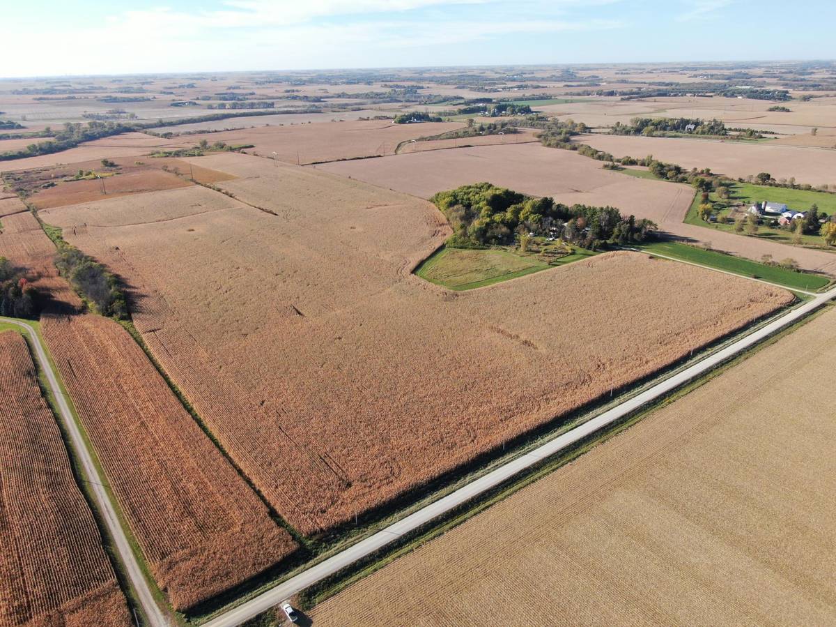 TBD County Road 149, Hayfield, MN 55940