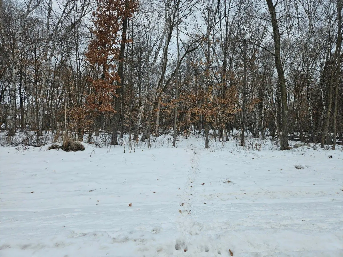 Lot 1, Block 2 2 1/2 AVE NE, Saint Stephen, MN 56375