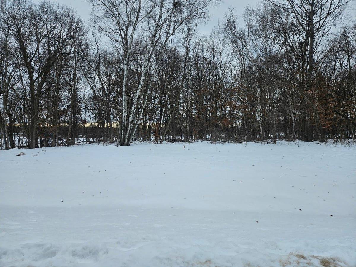 Lot 2, Block 3 2 1/2 AVE NE, Saint Stephen, MN 56375
