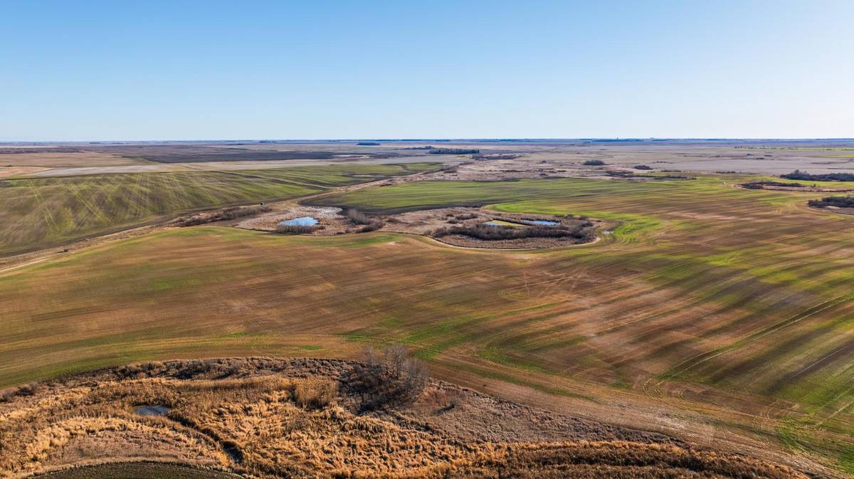 TBD 95 St NE Parcel 1, Rolla, ND 58367