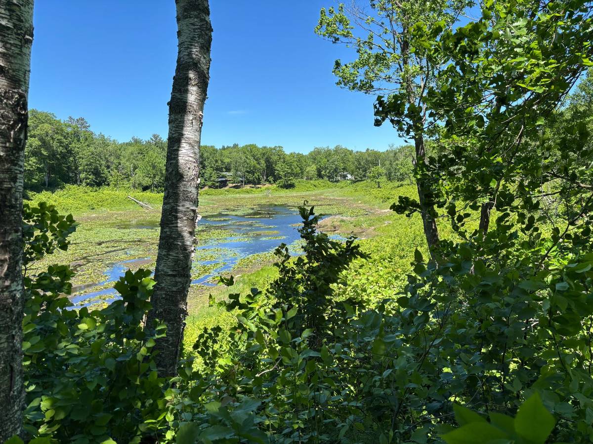 TBD Fawn TRL NE, Longville, MN 56655