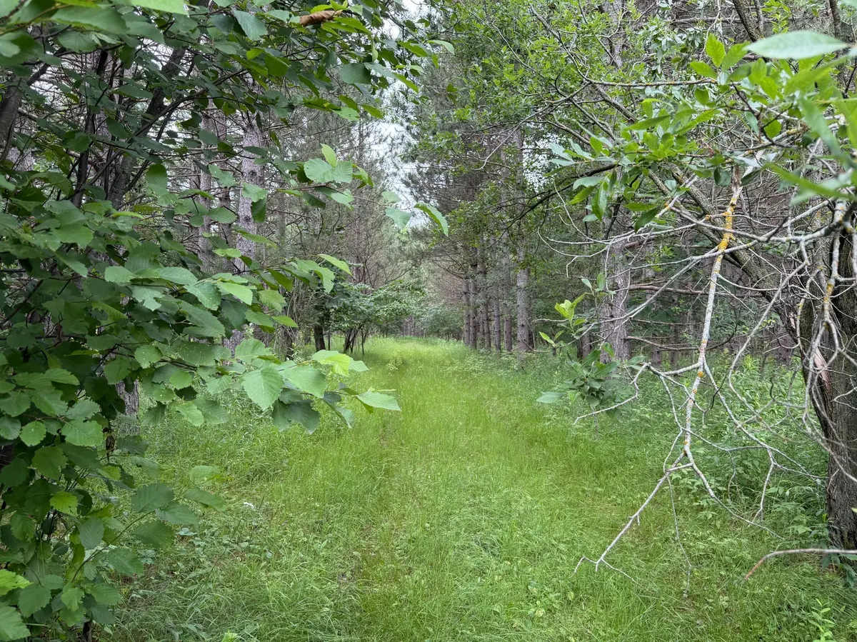 32656 310th ST, Browerville, MN 56438