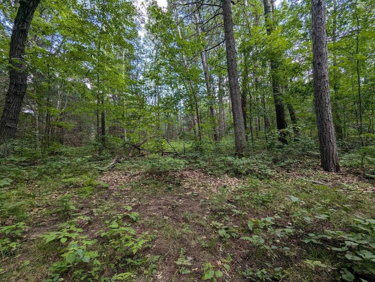 Lot 3 Fosmo, Webster, WI 54893