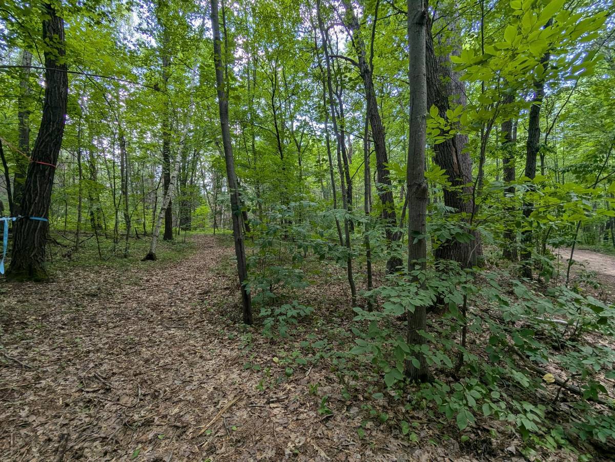 Lot 4 Fosmo, Webster, WI 54893