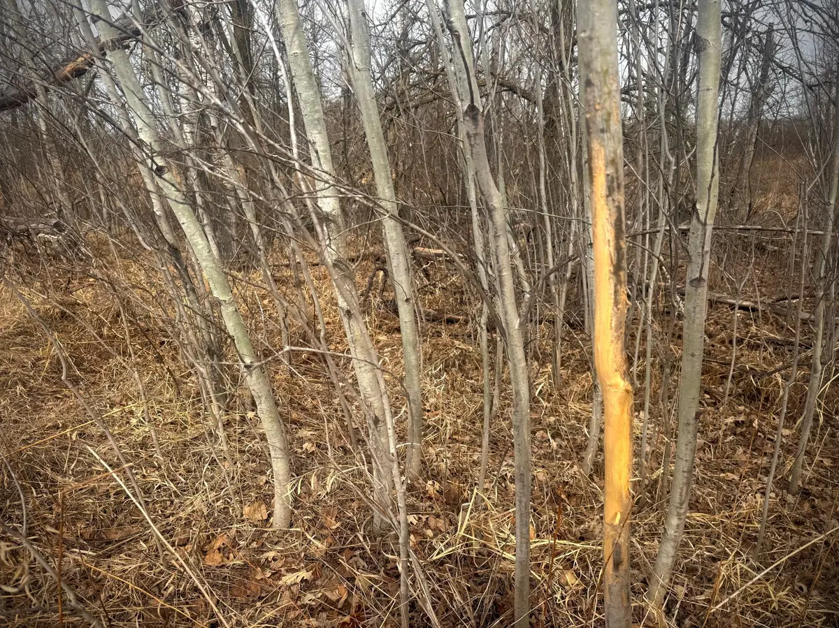2022 Dixon Line RD, Finlayson, MN 55735