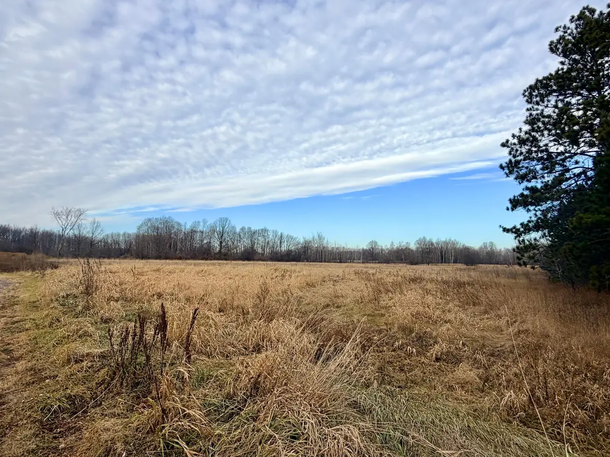 XX Forest BLVD, Rush City, MN 55069