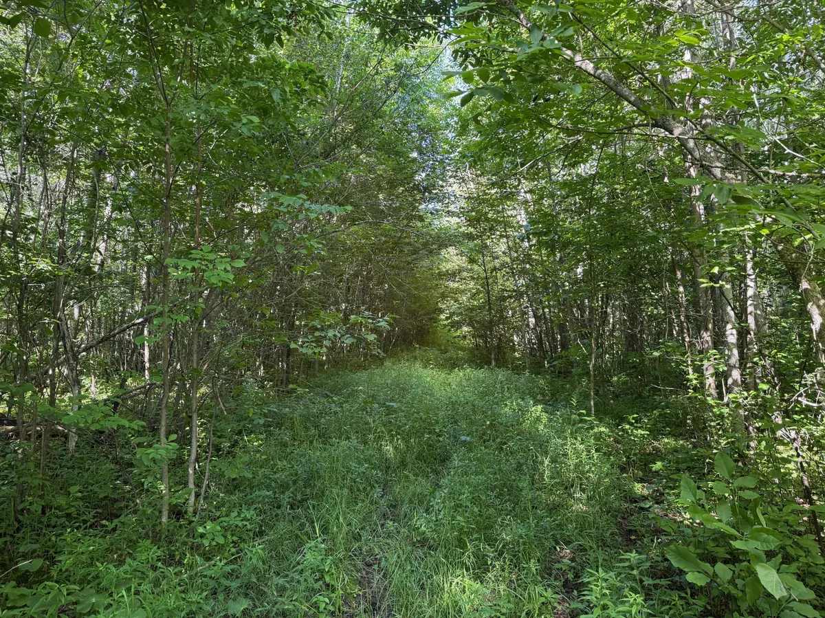 40a Bridgie RD, Northome, MN 56661