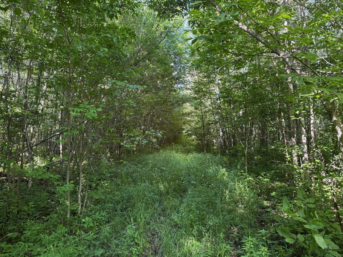 40a Bridgie RD, Northome, MN 56661