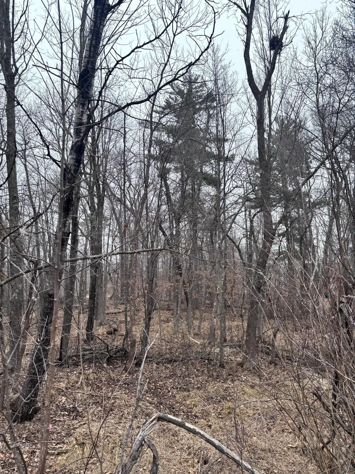 79xx Golf Estates DR, Pequot Lakes, MN 56472