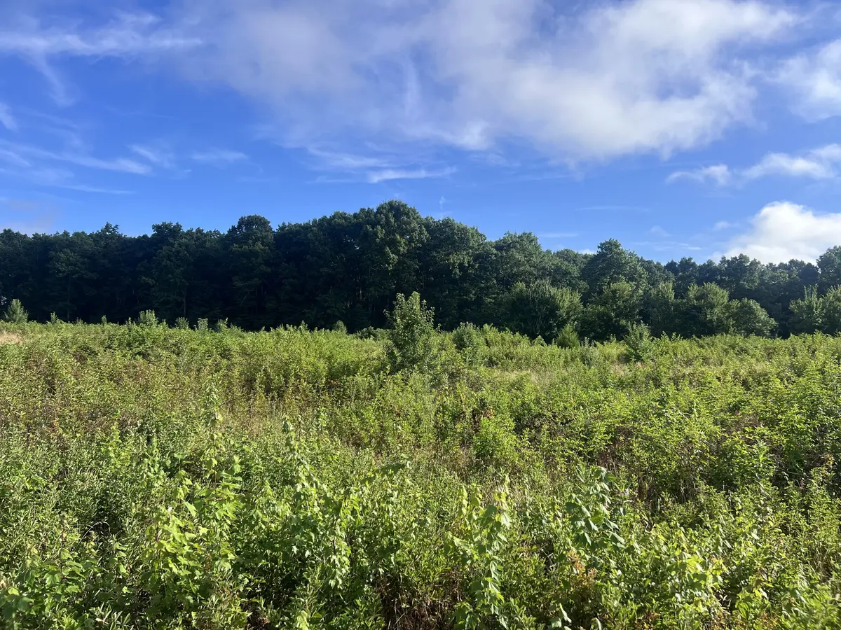 0 Taylors Chapel Rd, Crossville, TN 38572