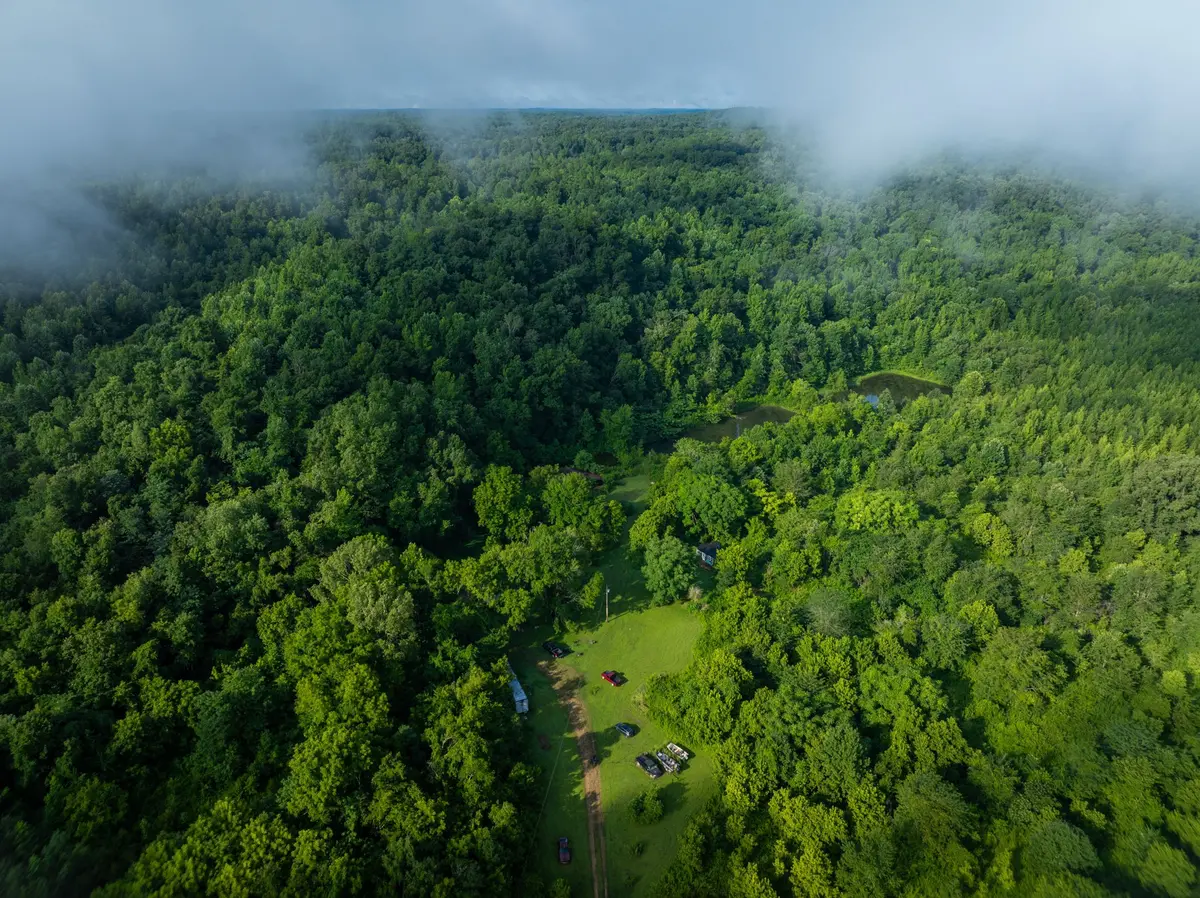 1765 Old Cedar Creek Rd, Linden, TN 37096