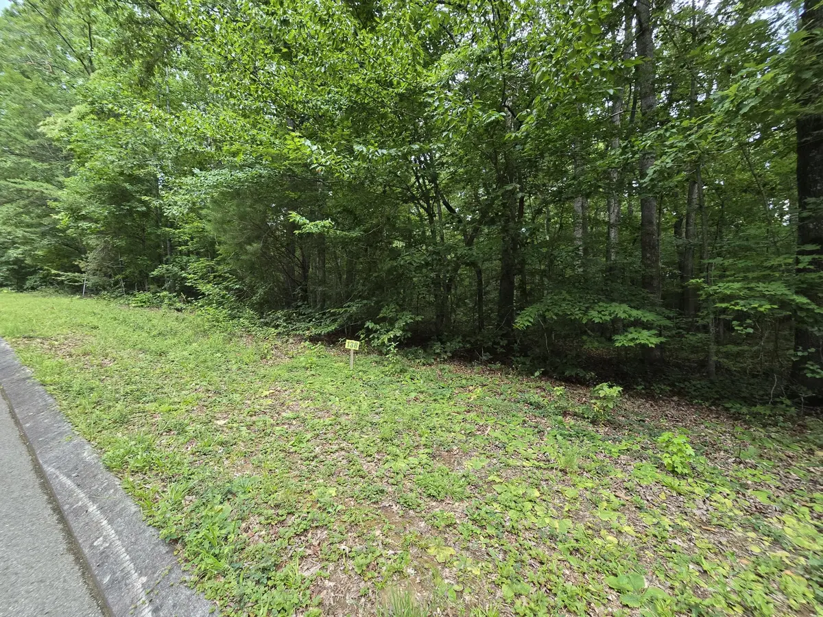 138 Lower Brow Road, Dunlap, TN 37327