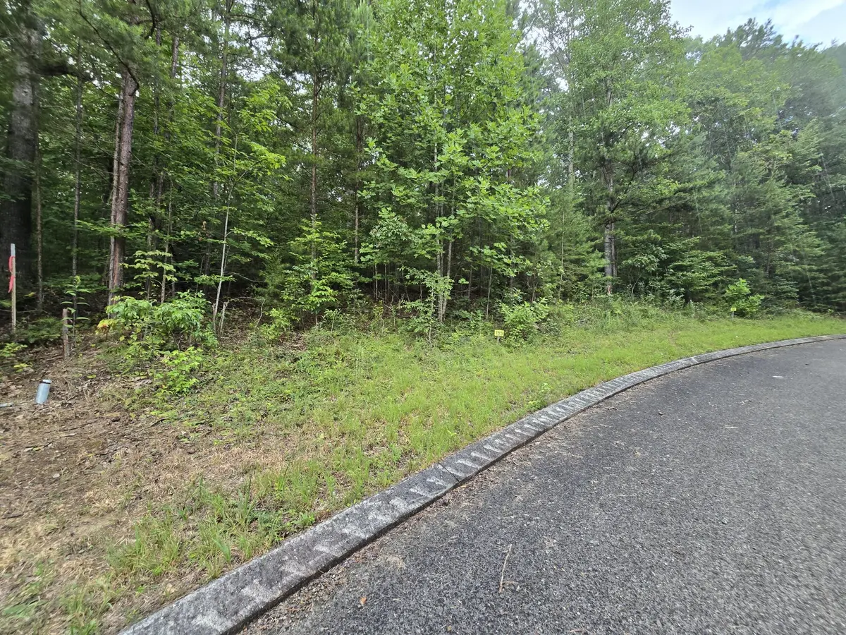 155 Lower Brow Road, Dunlap, TN 37327