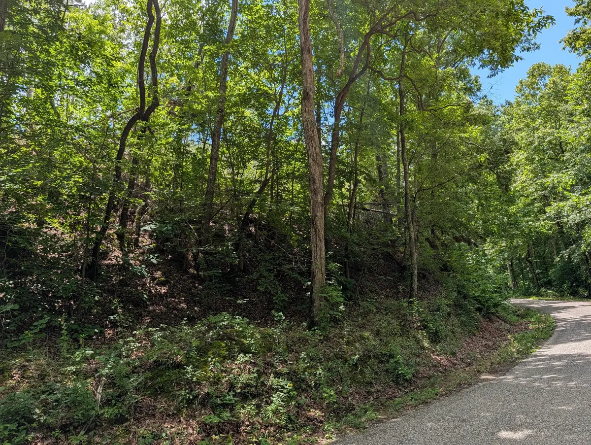 0 Old Penny Rd, Linden, TN 37096