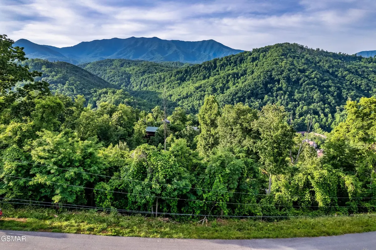 2 Ellis Ogle Road, Gatlinburg, TN 37738
