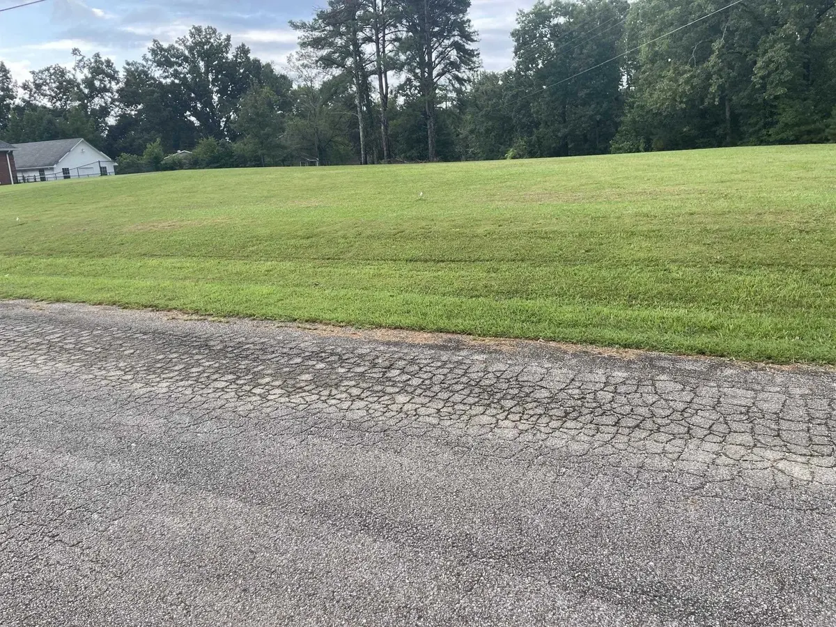 0 CANEY BRANCH RD, Adamsville, TN 38310