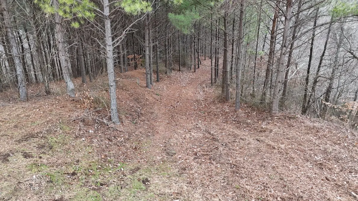 2932 Old Hohenwald Rd, Linden, TN 37096