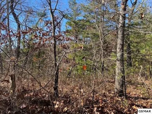 71 Poplar Place, Sevierville, TN 37876