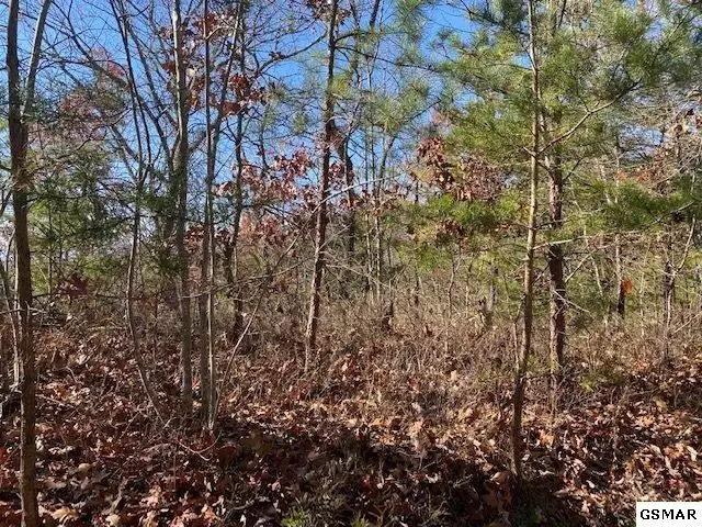 69 Poplar Place, Sevierville, TN 37876