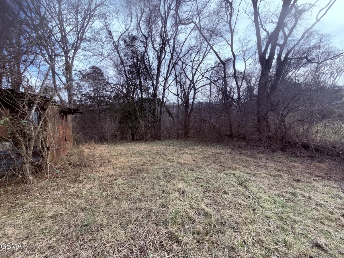 0 Chickory Road, Newport, TN 37821