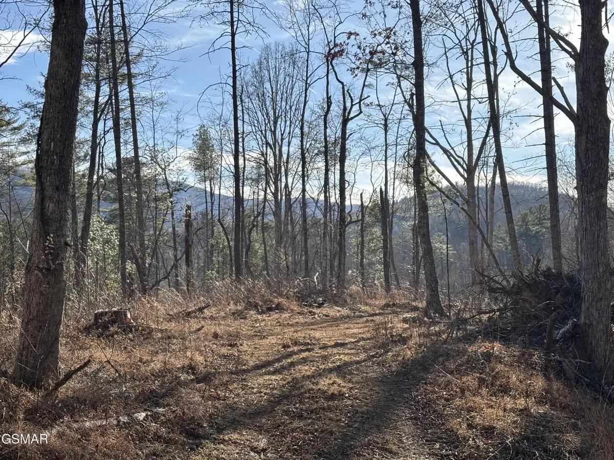 1 Bull Mountain Road, Del Rio, TN 37727