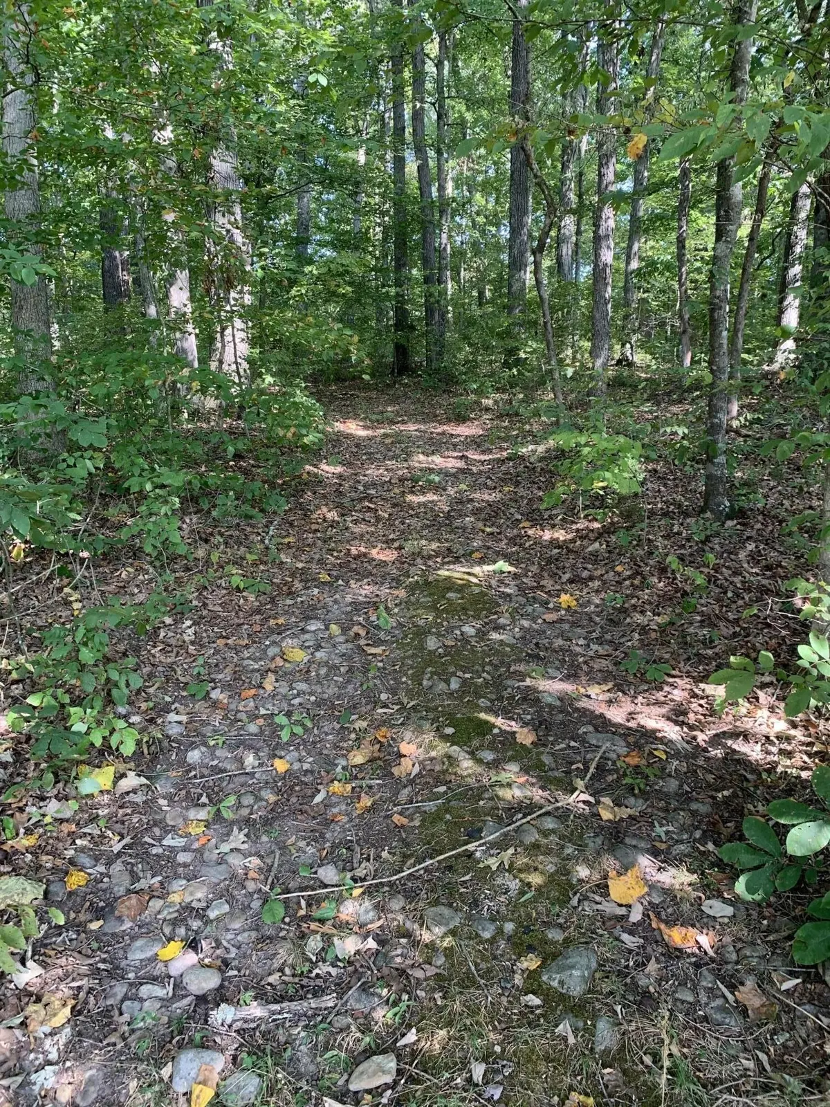 0 Glendale Road, Bybee, TN 37713