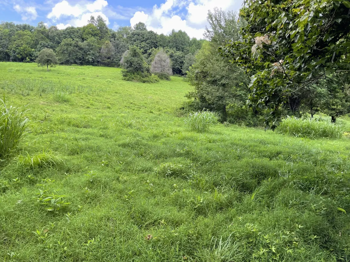 6461 Hwy 48 N, Cumberland Furnace, TN 37051