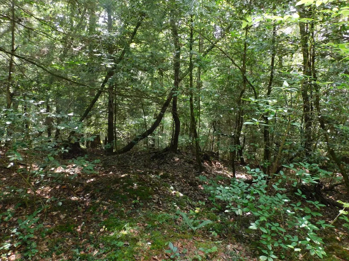 0 Old Highway 56, Coalmont, TN 37313