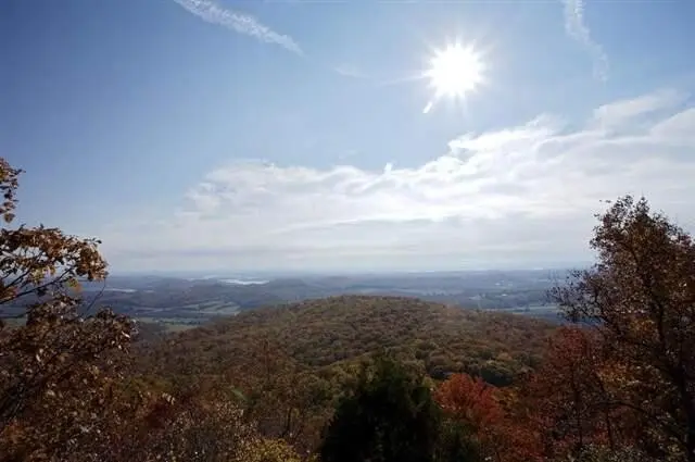 1180 Black Bear Trail, Evensville, TN 37332