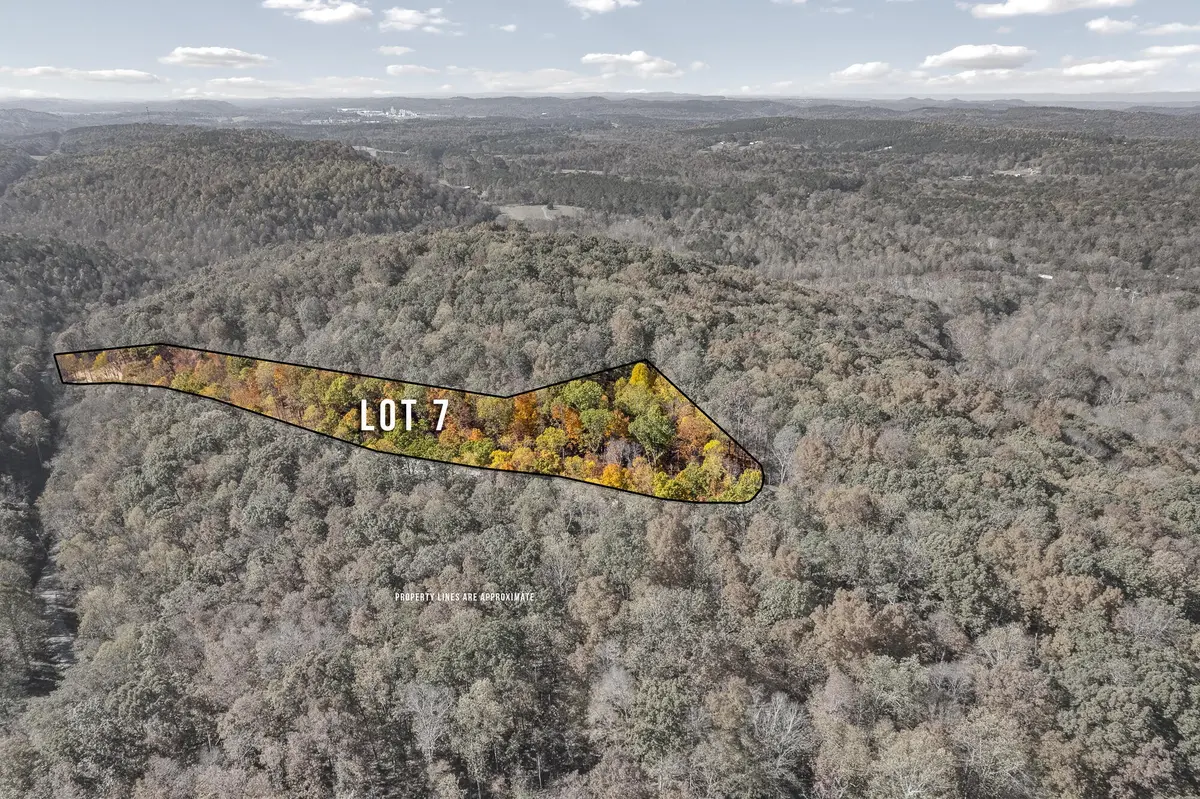 7 County Road 29, Riceville, TN 37370