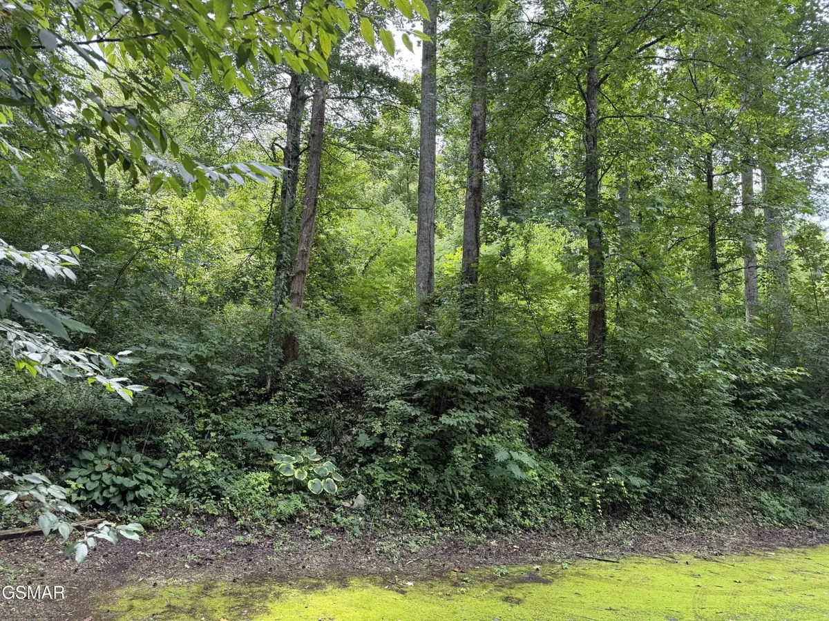 315 Hilltop Road, Gatlinburg, TN 37738