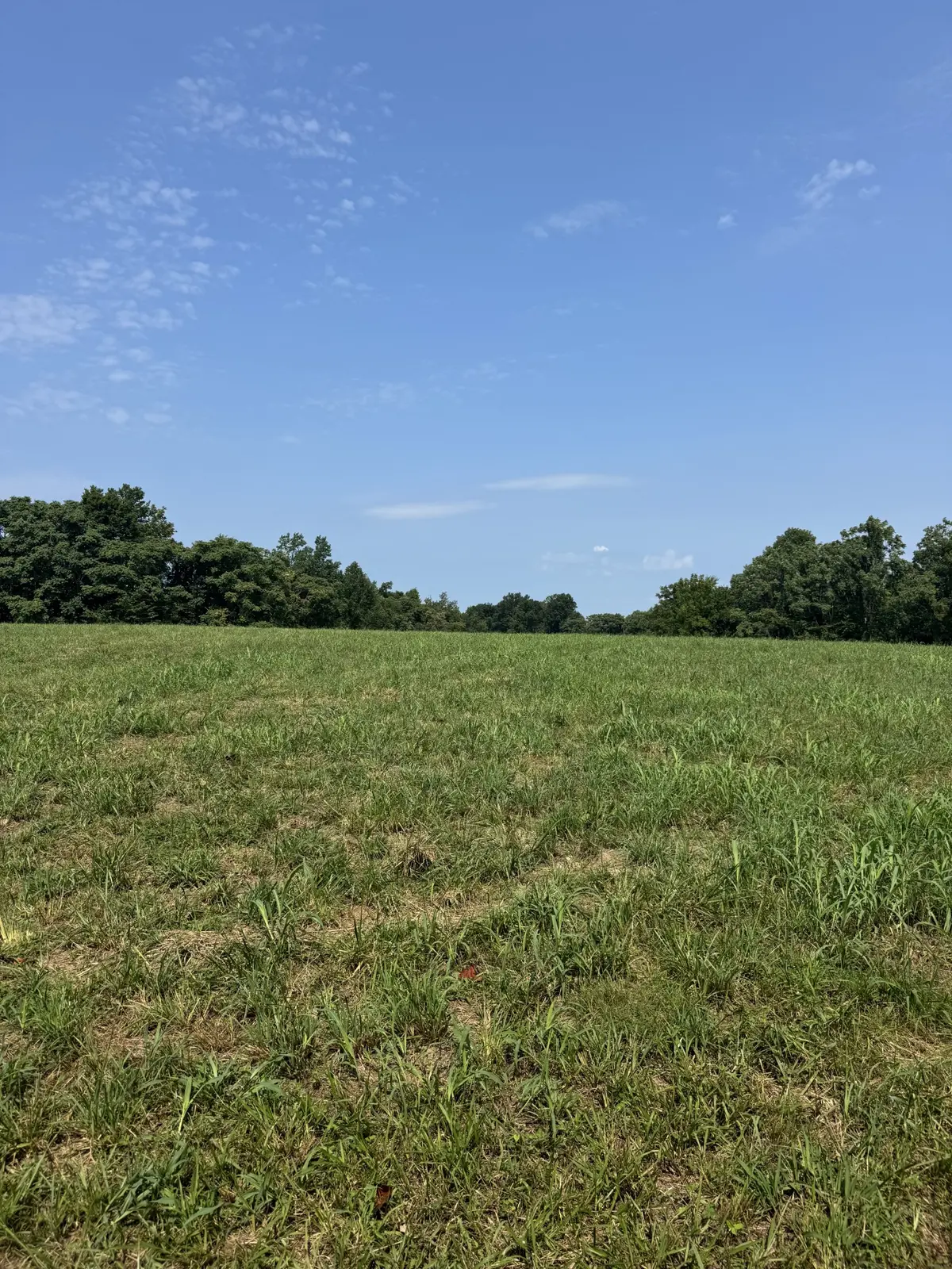 0 Ivy Lane, Red Boiling Springs, TN 37150