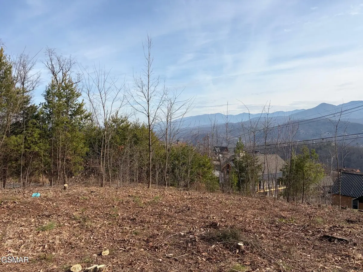 730 Wiley Oakley Drive, Gatlinburg, TN 37738