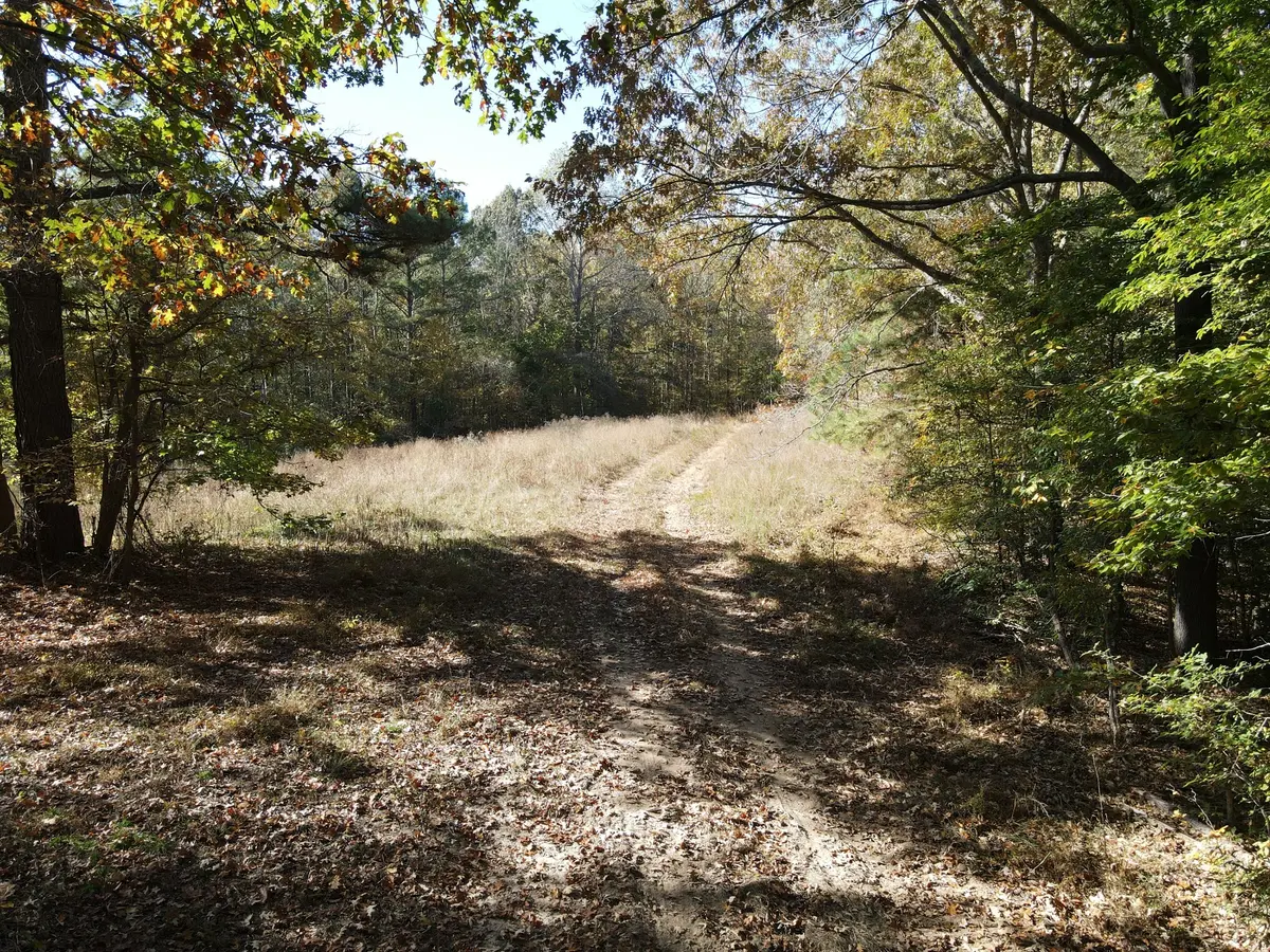 2 Copper Spring Road, Springville, TN 38256